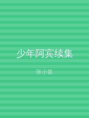 少年阿宾续集