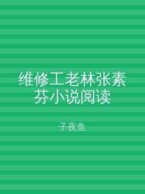 维修工老林张素芬小说阅读