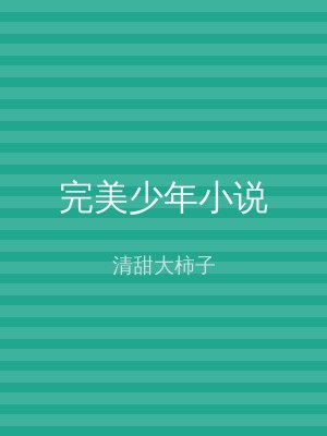 完美少年小说