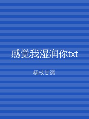 感觉我湿润你txt