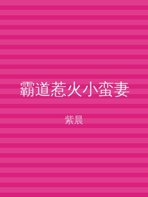 霸道惹火小蛮妻