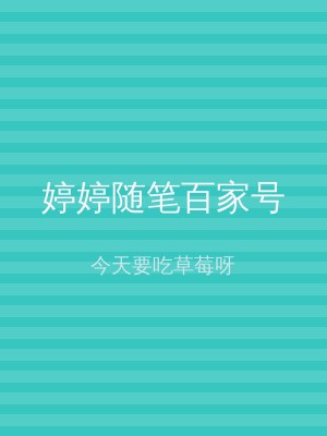 婷婷随笔百家号
