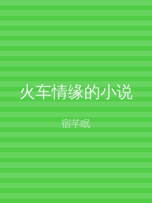 火车情缘的小说