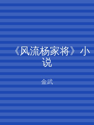《风流杨家将》小说