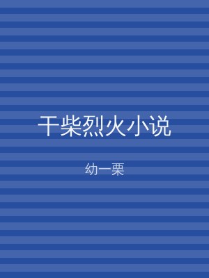 干柴烈火小说