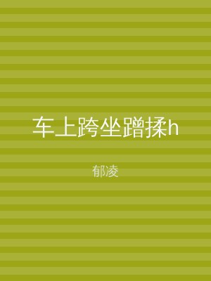 车上跨坐蹭揉h