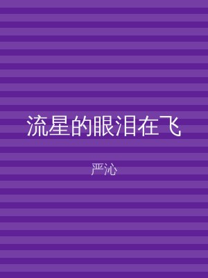 流星的眼泪在飞