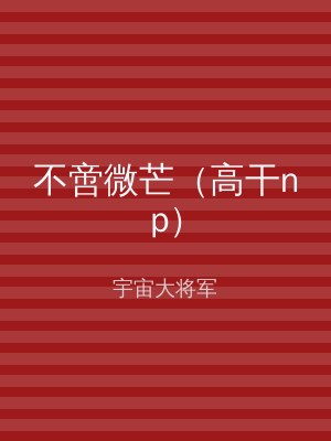 不啻微芒（高干np）