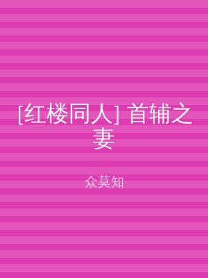 [红楼同人] 首辅之妻