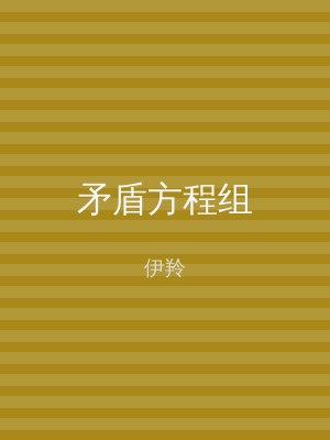 矛盾方程组