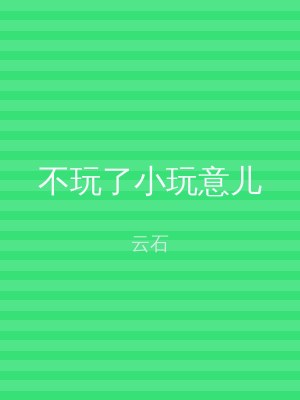不玩了小玩意儿